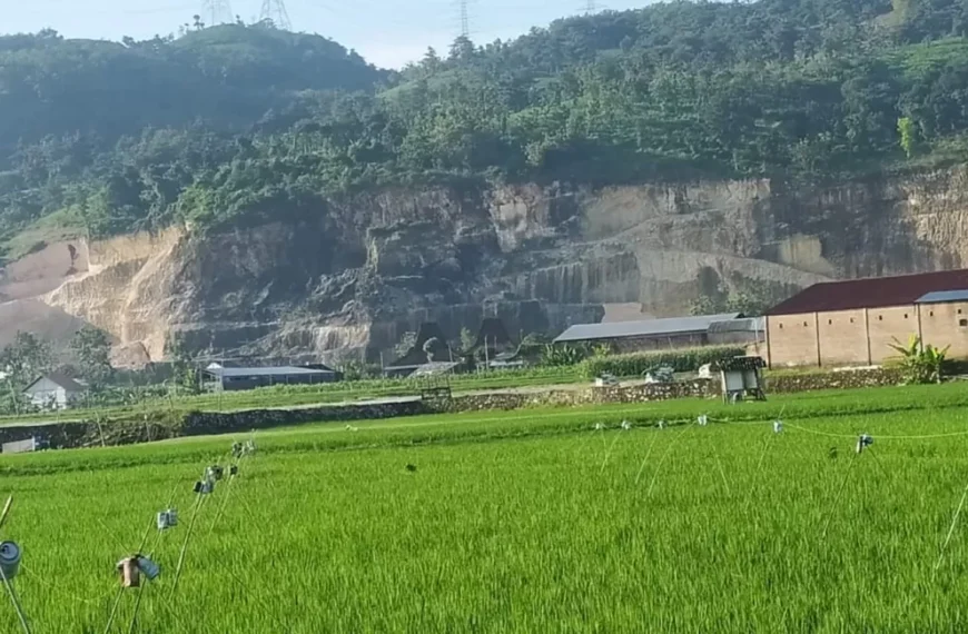 Penataan Lahan Pertanian Diminta Ketua DPRD Pati Sesuai Aturan