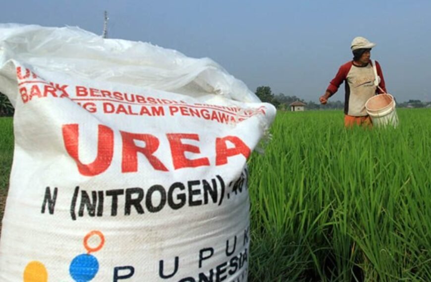Soal Kelangkaan Pupuk, Dewan Pati Dorong Pemerintah Cari Solusi