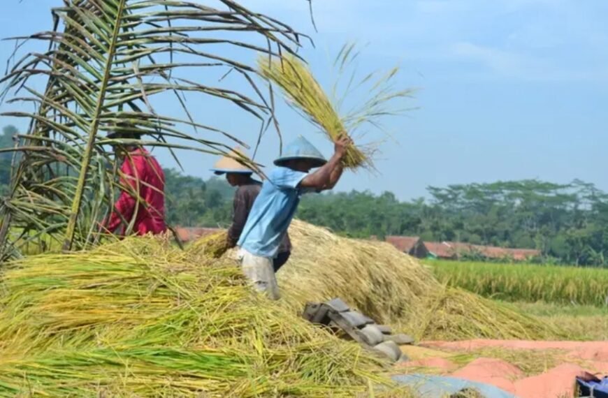 Dewan Pati Dorong Pemerintah Lebih Perhatikan Harga Panen Petani
