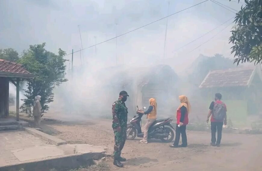 Musim Hujan, Dinkes Pati Tekankan Pemberantasan Sarang Nyamuk Cegah DBD