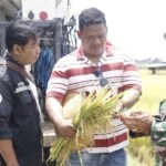DPRD Pati Dukung Penuh Penetapan Harga Gabah Petani 6.500 Per Kg