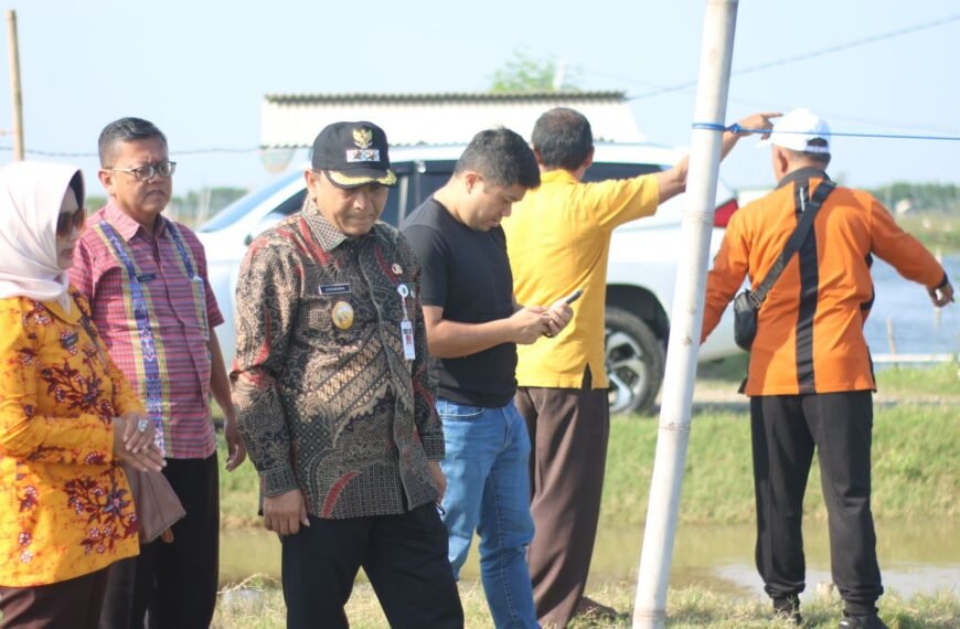 Tinjau Tambak di Dororejo Tayu, Wabup Dorong Pengembangan Potensi Ekspor Nila Salin