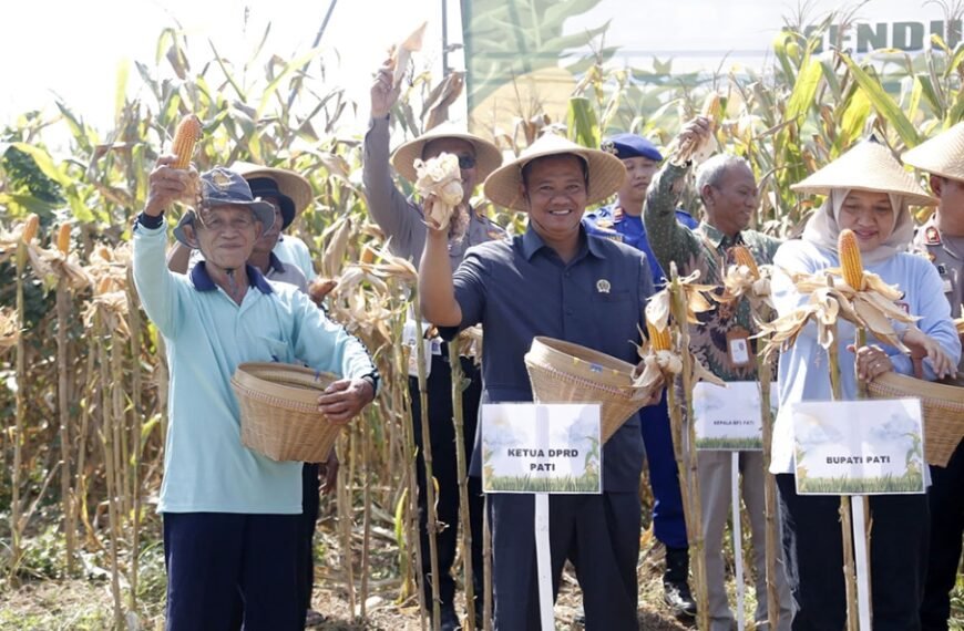 Anggota DPRD Pati Dukung Panen Raya Jagung Serentak