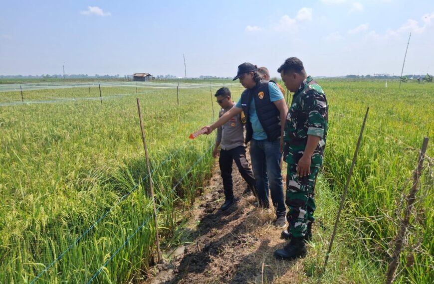 Kapolsek Juwana Imbau Warga Tak Pasang Aliran Listrik di Sawah Usai Insiden Gadingrejo