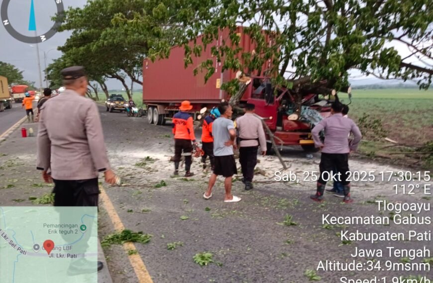 Truk Kontainer Tabrak Pohon Trembesi di Jalan Lingkar Selatan Pati, Polisi Gerak Cepat Evakuasi Lokasi