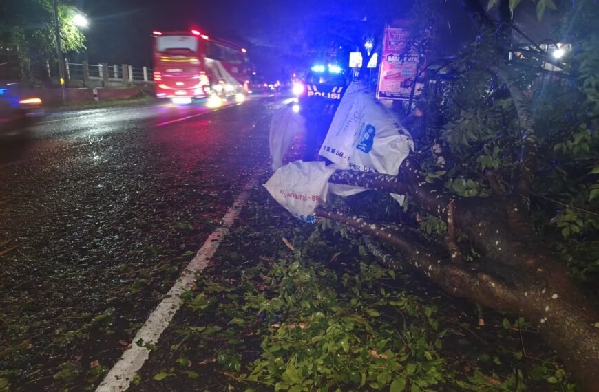 Polsek Pati Kota Evakuasi Pohon Tumbang di Jalur Pantura, Arus Lalu Lintas Kembali Lancar
