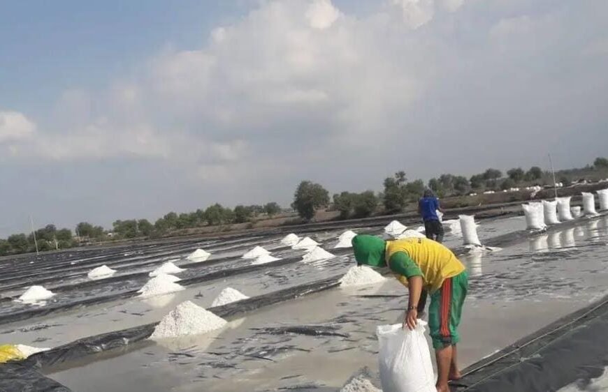 Komisi B DPRD Pati Dorong Pemerintah Perhatikan Petani Garam