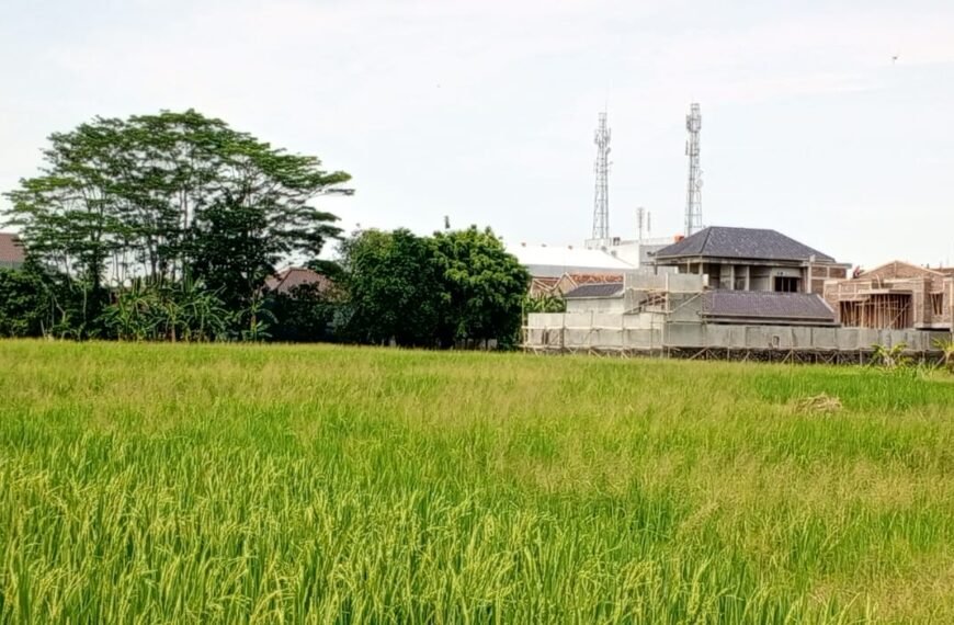 DPRD Pati Dorong Intensifikasi Penanaman Tanaman Alternatif Pengganti Beras