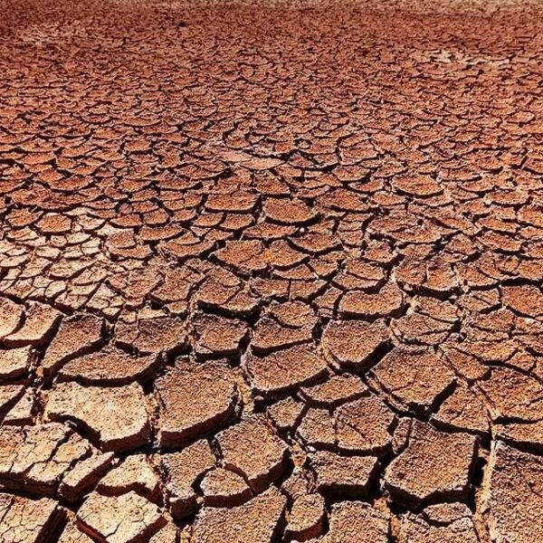 Waspadai Kemarau Panjang, Komisi B DPRD Pati Minta Petani Bersiap