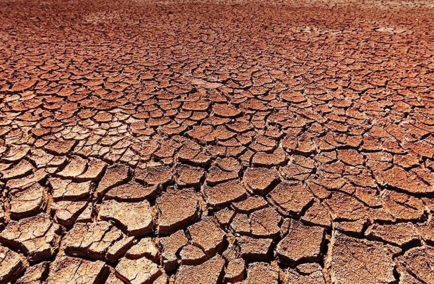 Waspadai Kemarau Panjang, Komisi B DPRD Pati Minta Petani Bersiap