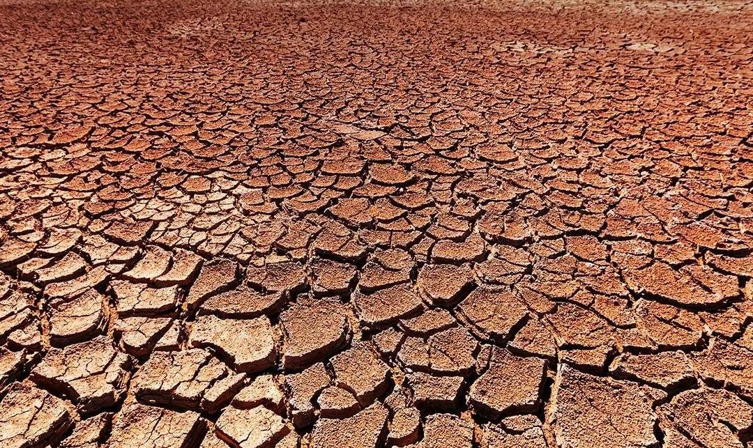 Waspadai Kemarau Panjang, Komisi B DPRD Pati Minta Petani Bersiap