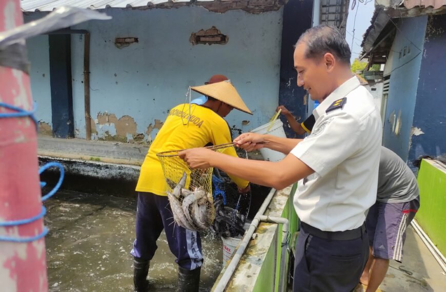 Dari pembinaan menuju kemandirian, hasil panen Ikan Lele jadi kebanggaan